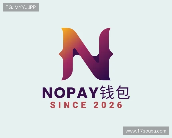 认识NOPAY钱包